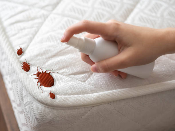 Best Pest Prevention Services  in Wilder, VT