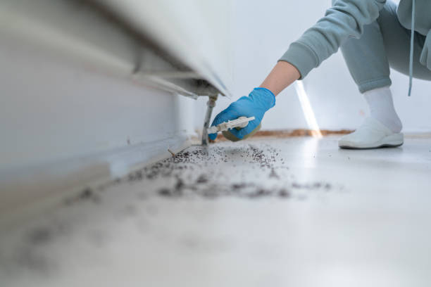 Best Commercial Pest Control Services  in Wilder, VT